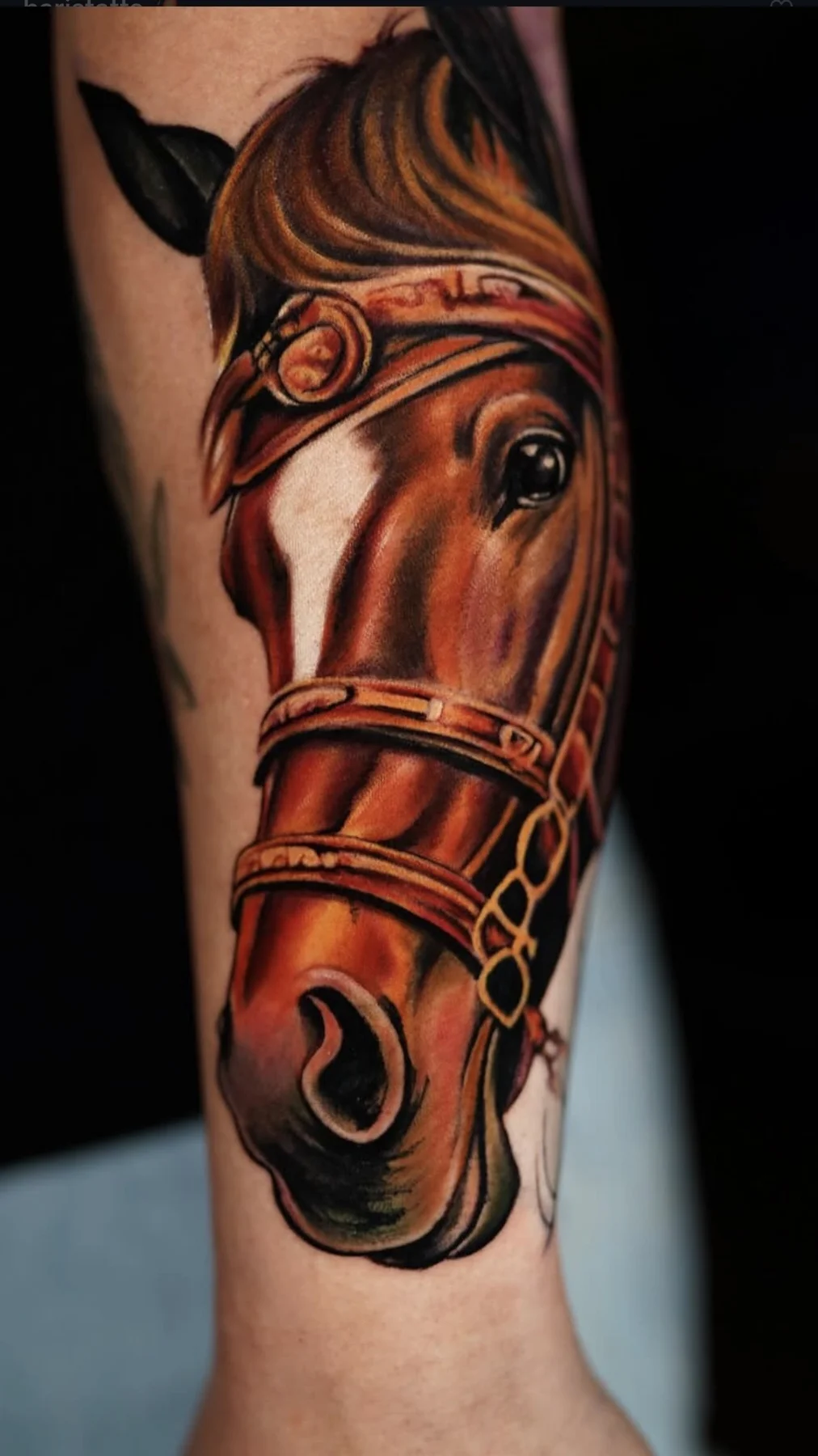 Colour realism horse tattoo — Ertuğrul Yılmaz