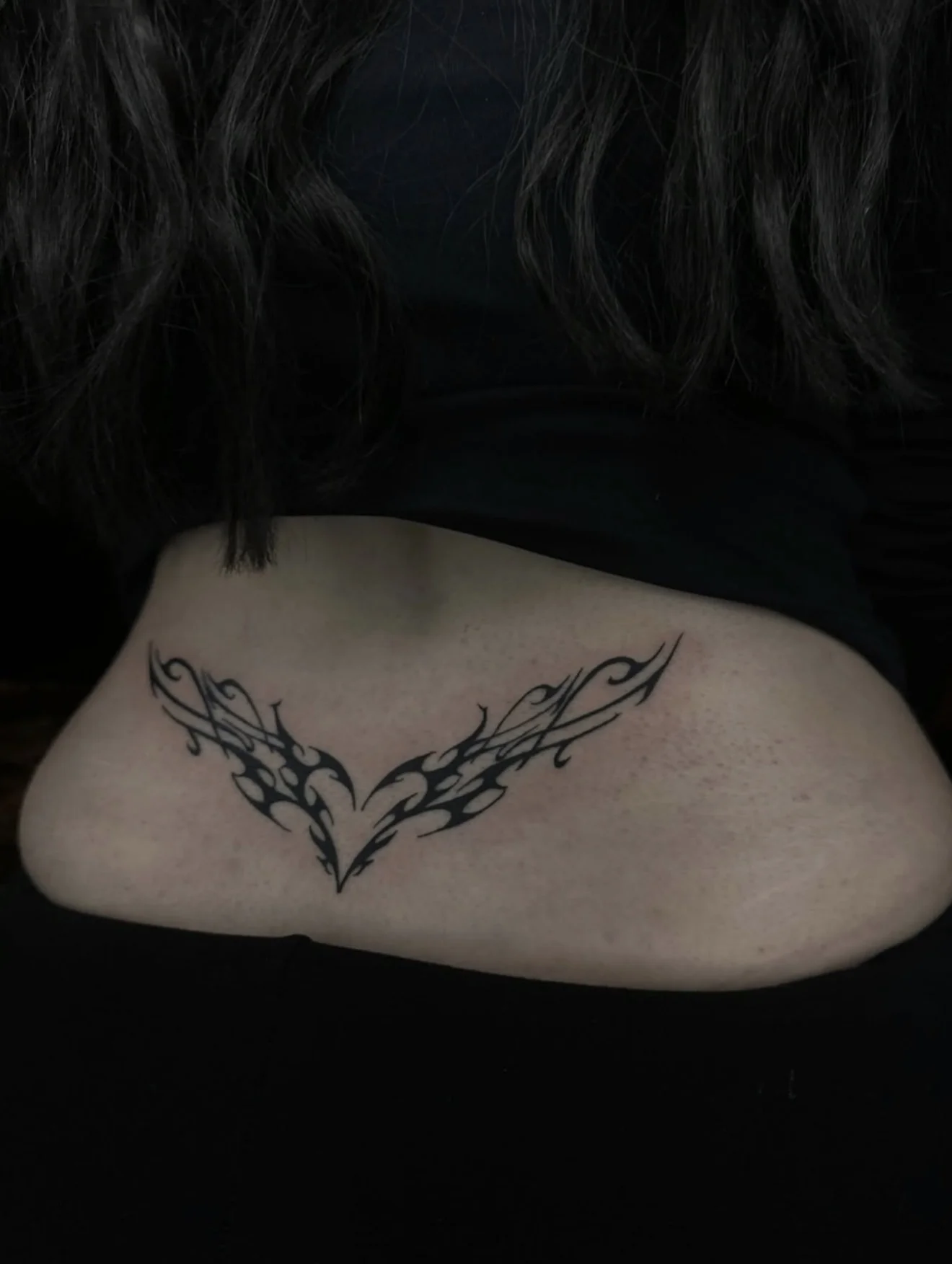 Ornamental back piece — Katherina Blood Vessel