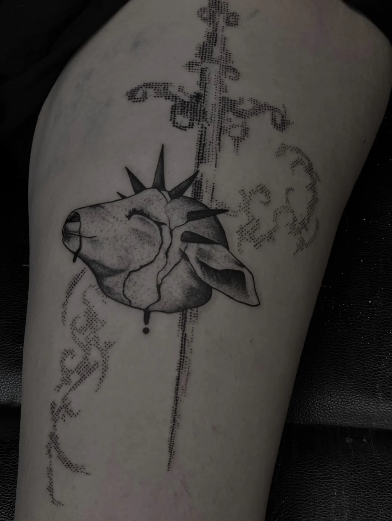 Anatomical heart and botanical linework — Katherina Blood Vessel
