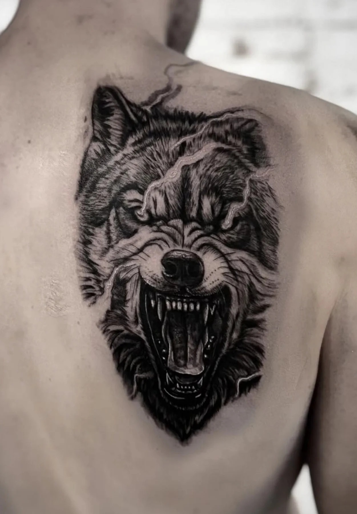 Black & grey wolf portrait — Laura